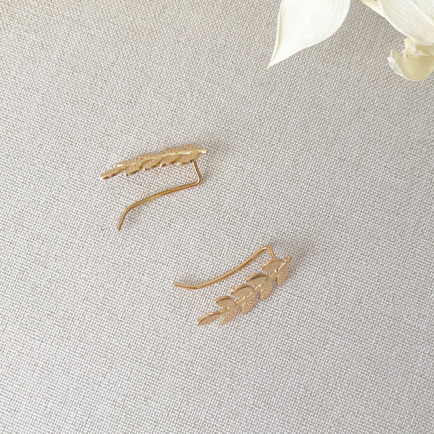 Double Hoop Earrings