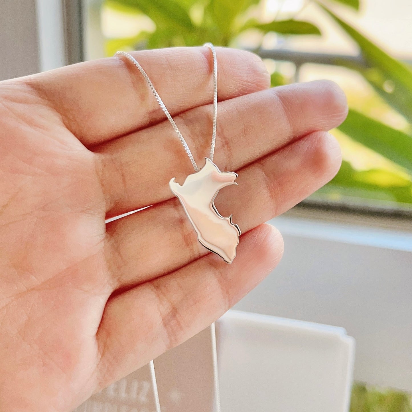 Chain Silver Necklace