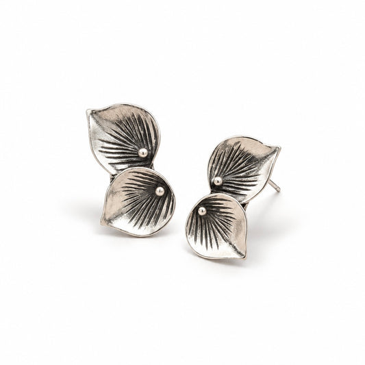 Aretes Cátali