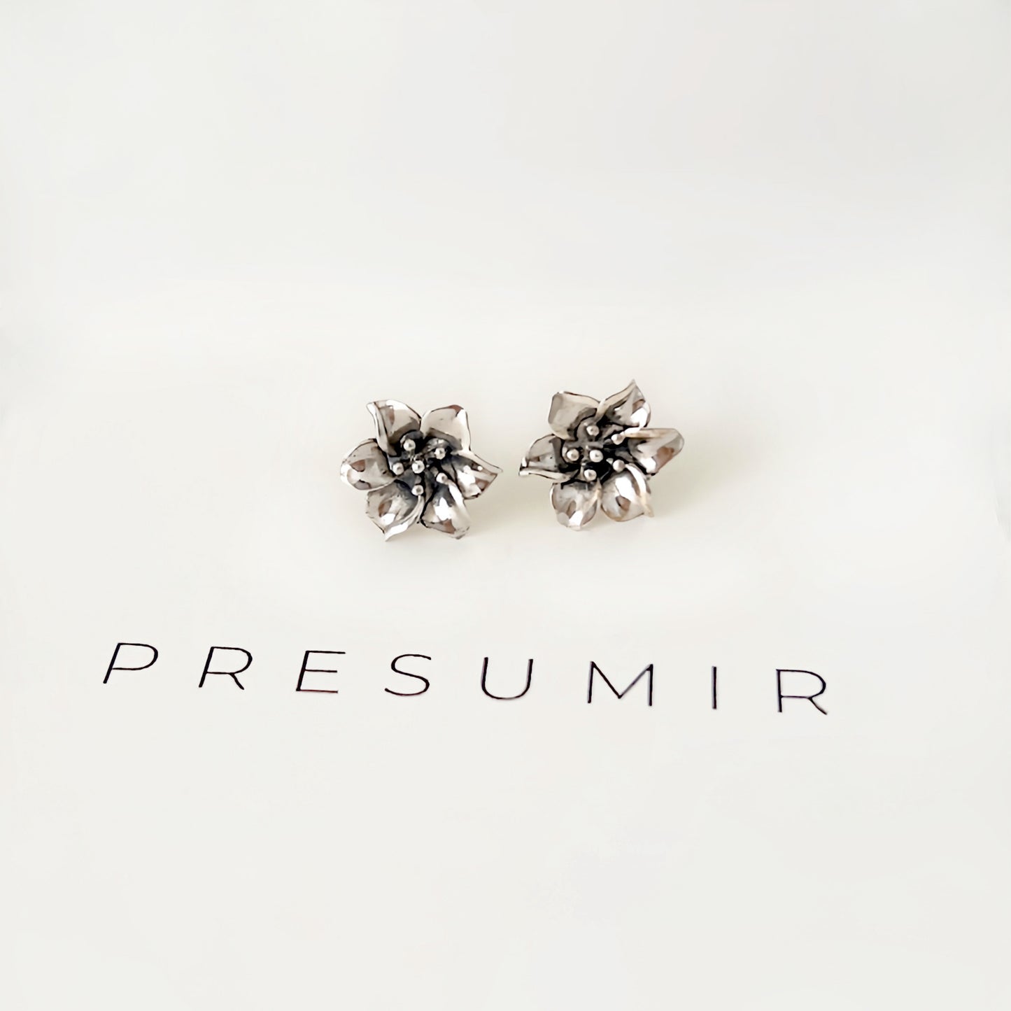 Aretes Bibol