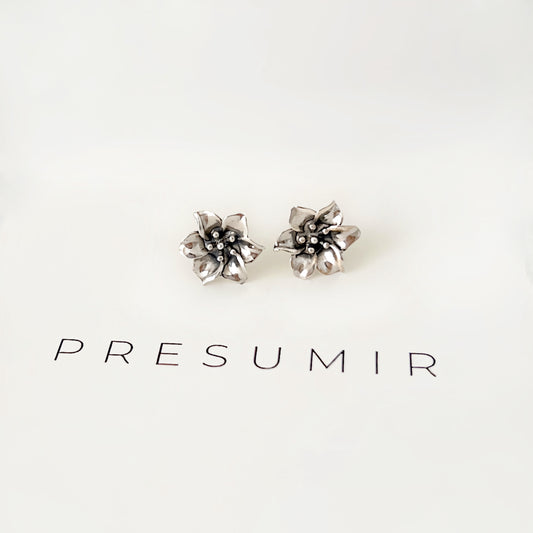 Aretes Bibol
