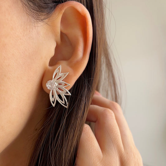 Aretes Soara
